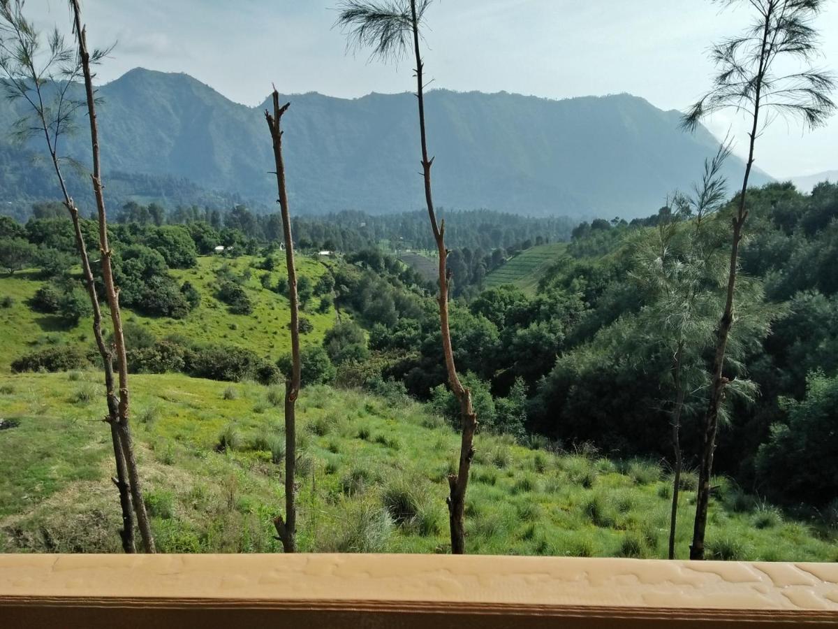 Lava View Lodge Bromo Eksteriør billede